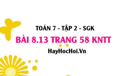 Bài 8.13 trang 58 Toán 7 Tập 2 Kết nối tri thức
